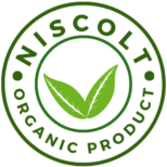 niscolt.com